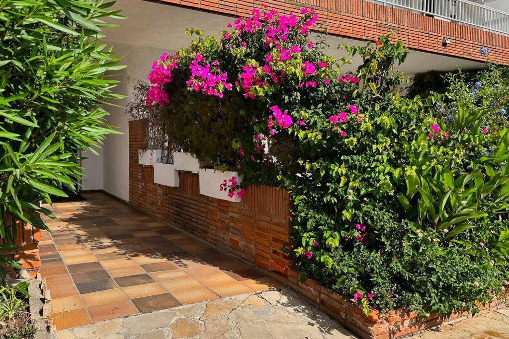 Apartamento Acogedor , Blanes Exterior foto